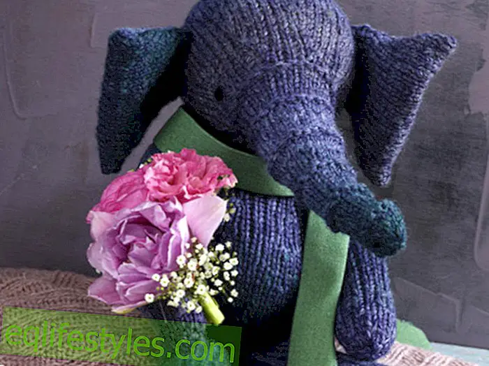 vivre: Instructions de tricotage Instructions de tricotage: Nous pouvons tricoter cet éléphant mignon nous-mêmes