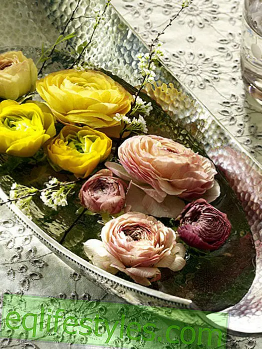 Silver bowl with floating ranunculus flowers
