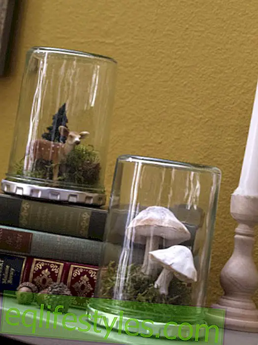 live: DIY idea: Autumn decoration in preserving jars