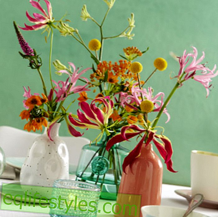 Summery party with gloriosa decoration