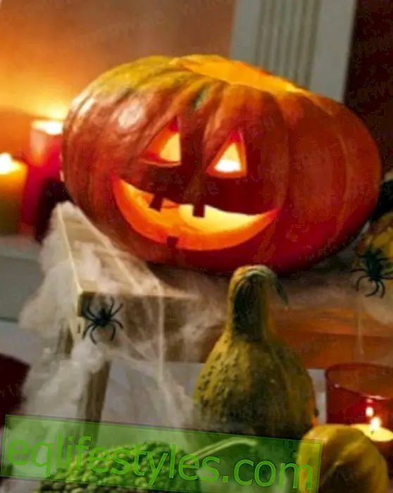 DekoHalloween: Carve a spectacular pumpkin