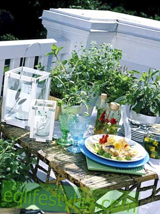 Lahodná zelenina a čerstvé bylinky na balkóně