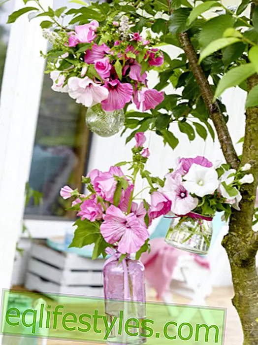 Summery decoration ideas 5 simple decoration ideas with mallows