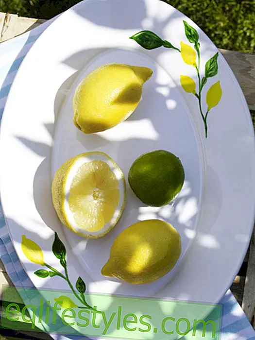 Peinture sur porcelaine: bocal à peinture aux citrons