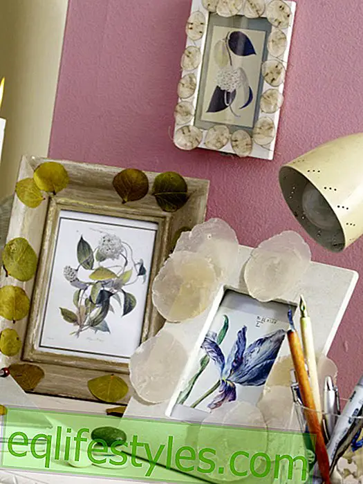 live - Picture frame decorated with finds from nature