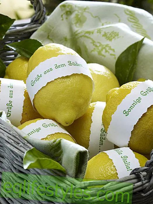 live - Italian party: lemons with greeting