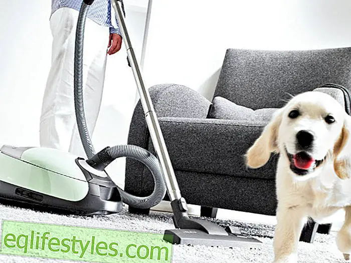 live - What you always wanted to know about vacuum cleaners
