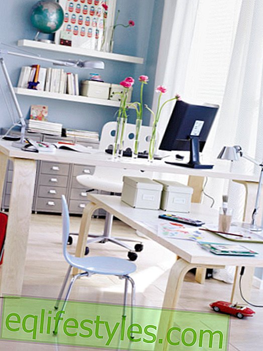 live - Furniture and accessories for the home office