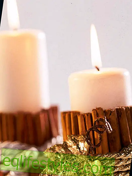 live - Cinnamon scented candles