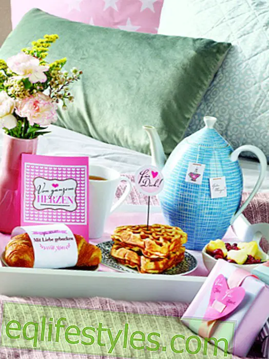 live - Charming surprise for breakfast in bed