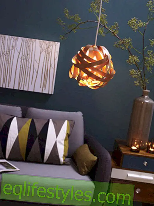Creative DIY idea: make your own ceiling lamp