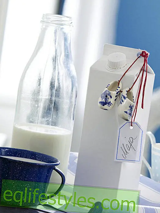 Milk bag in Holland look as a gift wrap