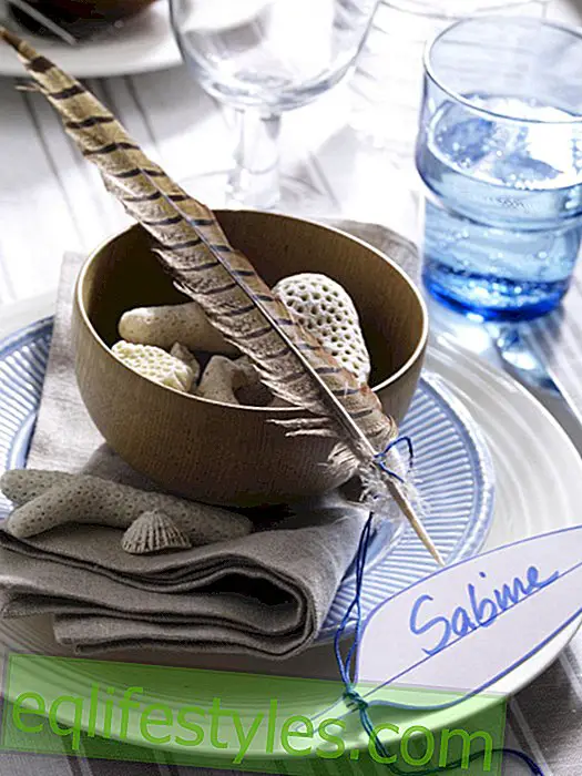 Place-setting with stones and feather