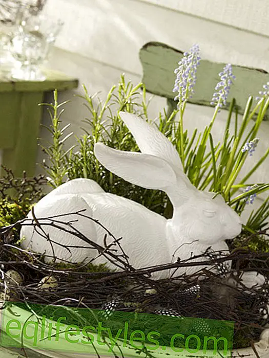 живея: Великденски венец с зайче