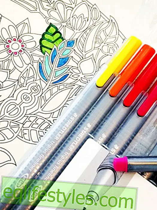 Adult Coloring Books: New Lifestyle Trend with Relax Factor