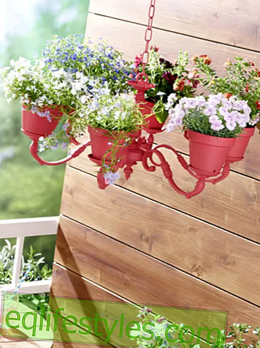 live: 4 DIY ideas: How to decorate your flowerpots