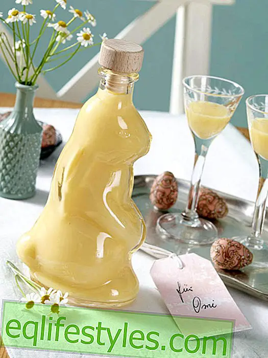 live - Eggnog: The perfect gift for Easter