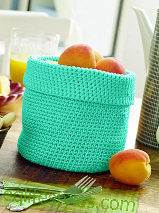 live - Crochet Pattern A scoop for all cases