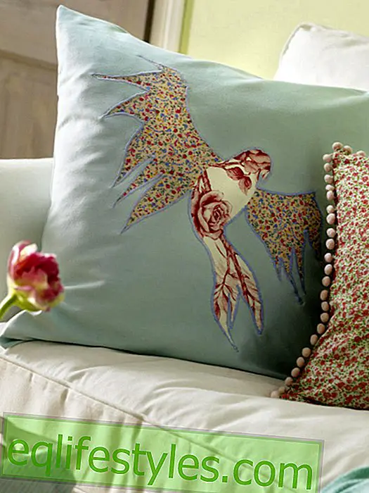 Decorate cushion cover with bird motif