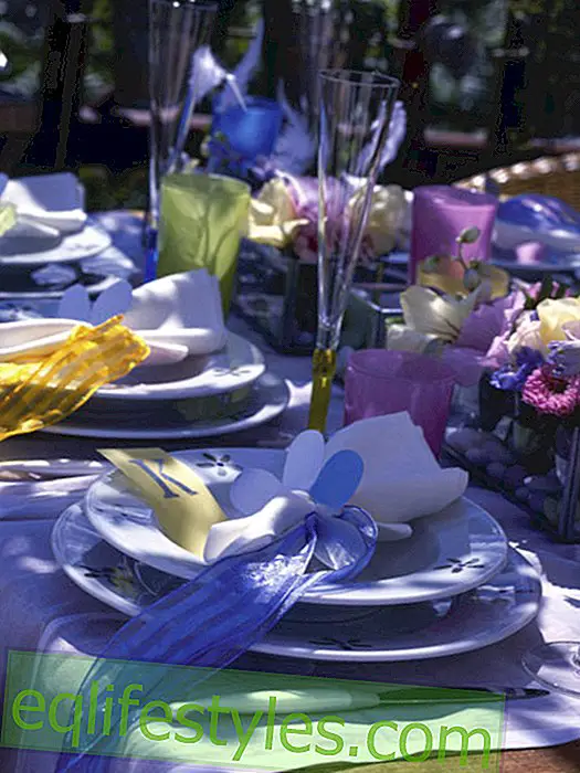 Table decoration for a family party in the garden