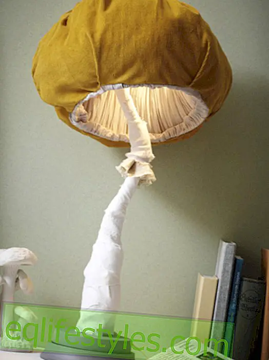 Instructions for an autumnal mushroom light