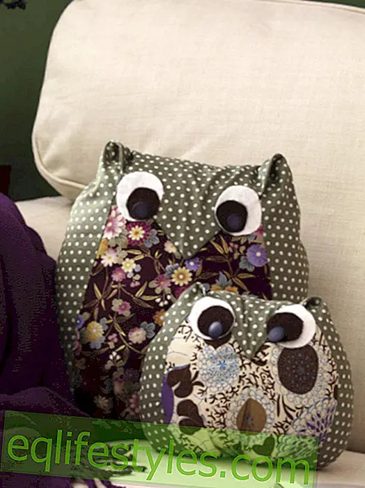 DIY tip: How to make this owl pillow