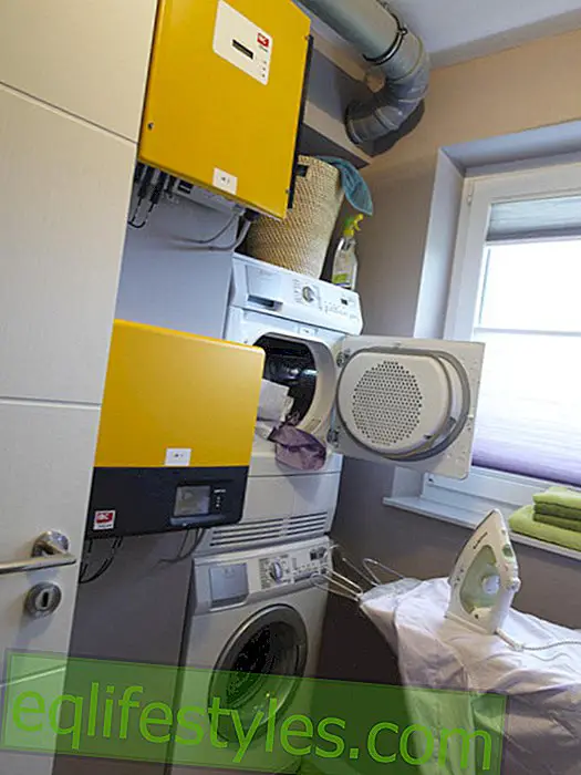 live - Laundry room