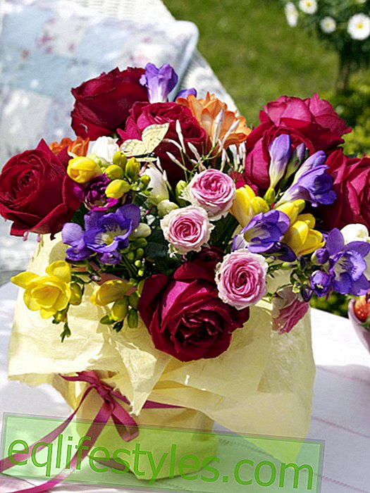 live: Colorful bouquet in wrapped vase