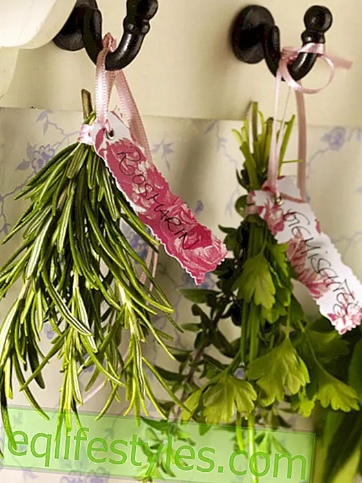 Herb bouquets for drying