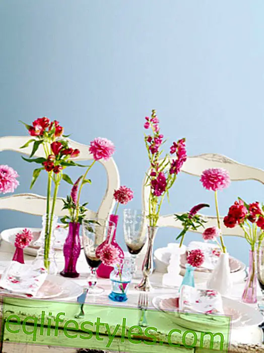 ζω - Αργά καλοκαιρινή διακόσμηση λουλουδιών σε ροζ χρώμα