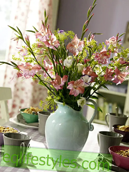 DIY Bouquet: gladioli three times different
