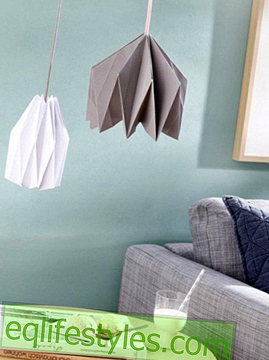 With instructions: Geometric lamp made of paper