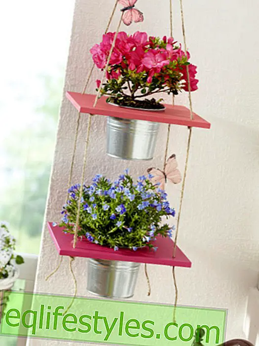 Plants: Three DIY ideas for the small balcony