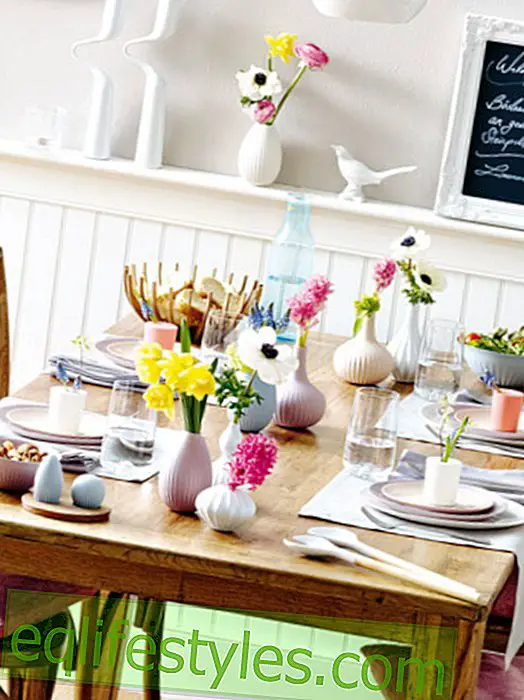 live: Table decoration in pastel colors - a light pleasure