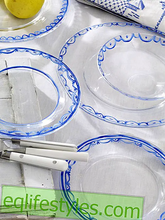 Glass plates with Delftware pattern