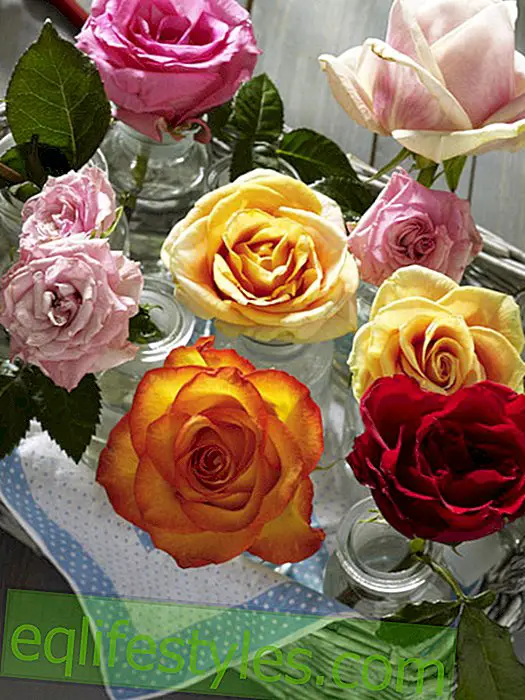לחיות: Gl  ser בסל נצרים מלא ורדים
