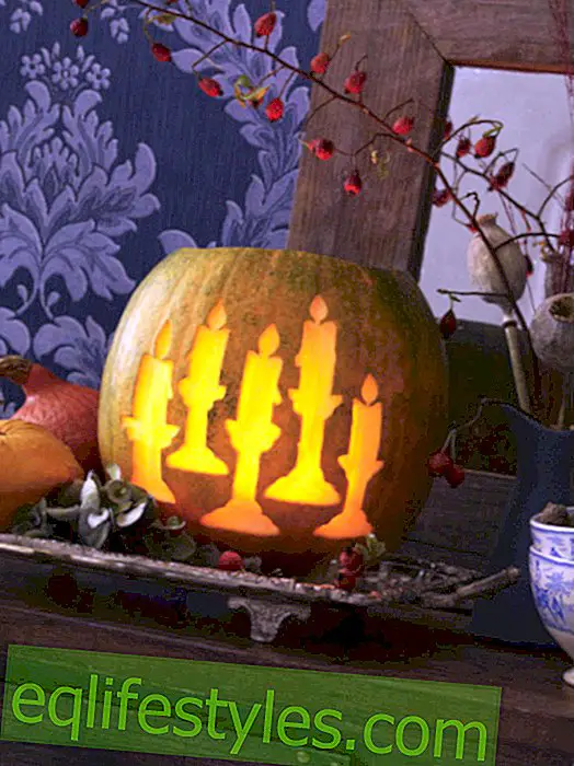 live - Jack-o-lantern with carving instructions