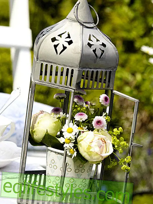 Lantern with flowers