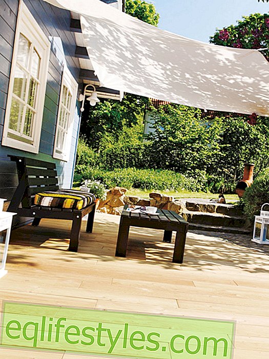 Podlahové krytiny pro balkon a zahradu: za co stojíte?