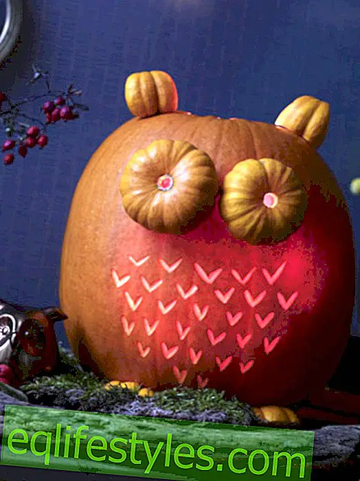 live: Pumpkin carving templates: We show creative instructions