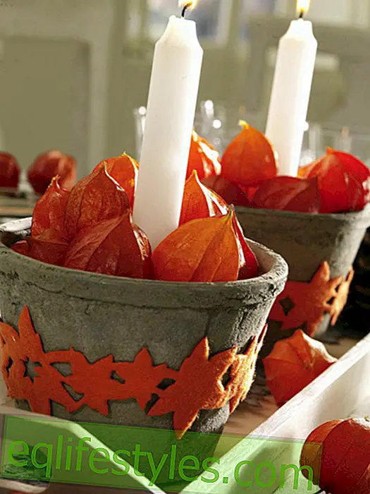 Physalis in flowerpot with candle