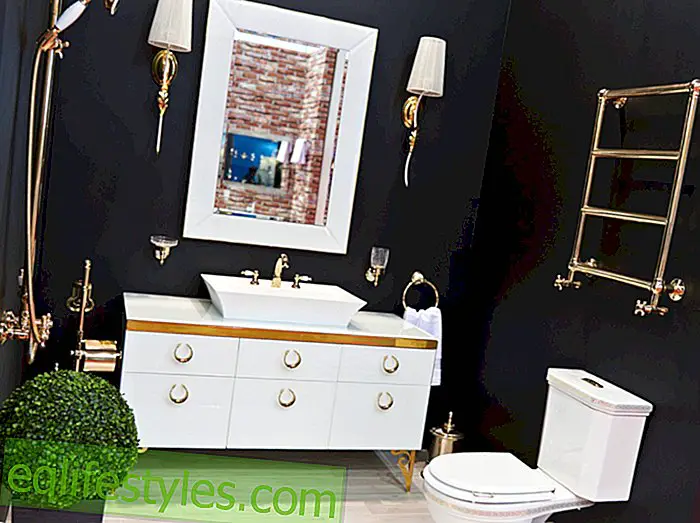 Decorate like the RoyalsThese bathroom accessories turn your home into a castle