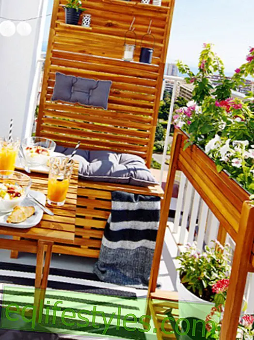 Furniture, plants and decoration: Everything for the mini-balcony