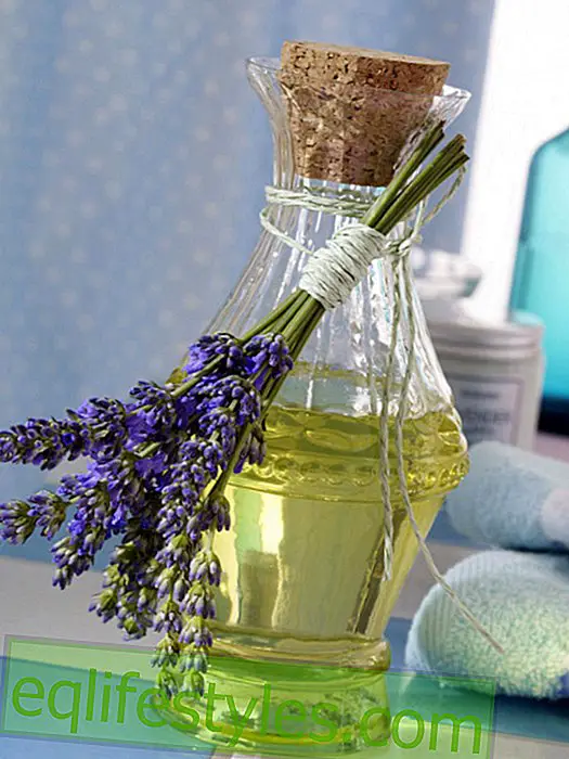live: Lavender: oil bottle with mini jam