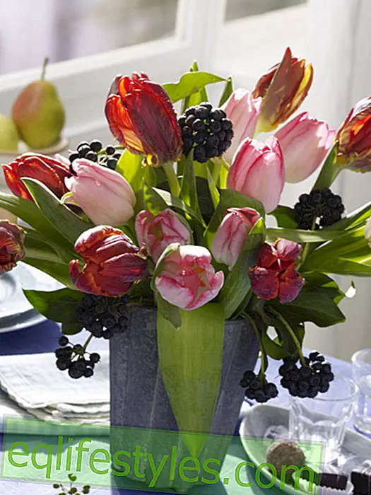 live: Bouquet of pink tulips and berries