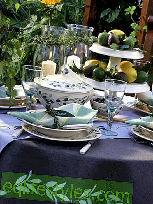 live - Southern table with fruits and herbs