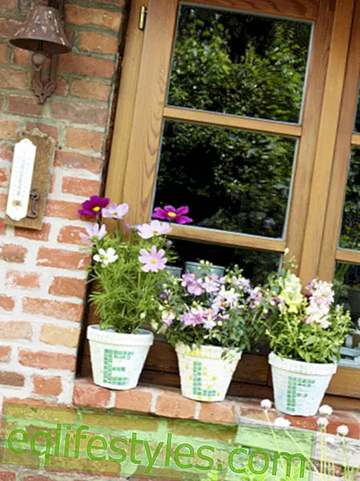 Simple DIY tip: House number from flowerpots