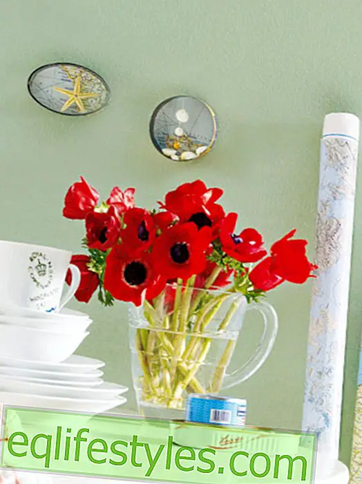 Decorate with photos and map - 2 quick tips