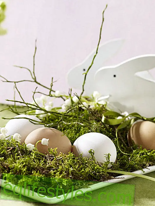 Easter eggs embedded in moss