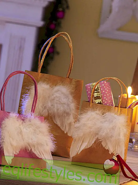 live - Paper bags with angel wings
